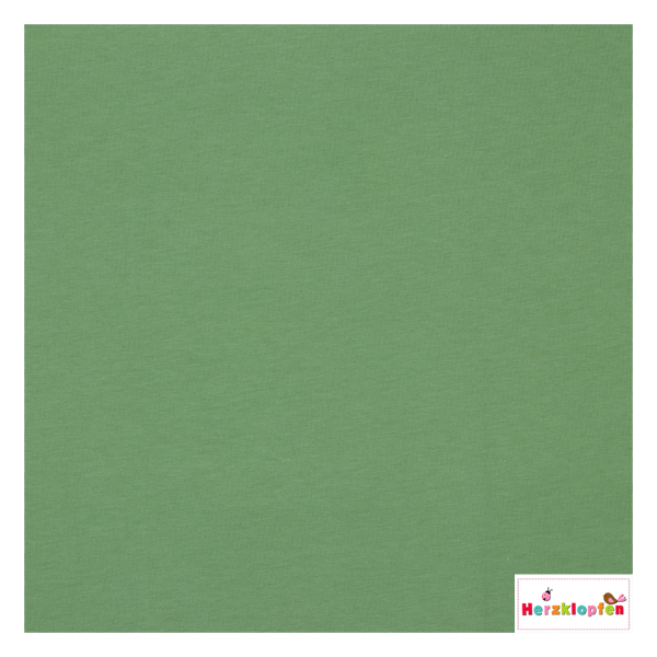 BIO Soft Sweat mint green