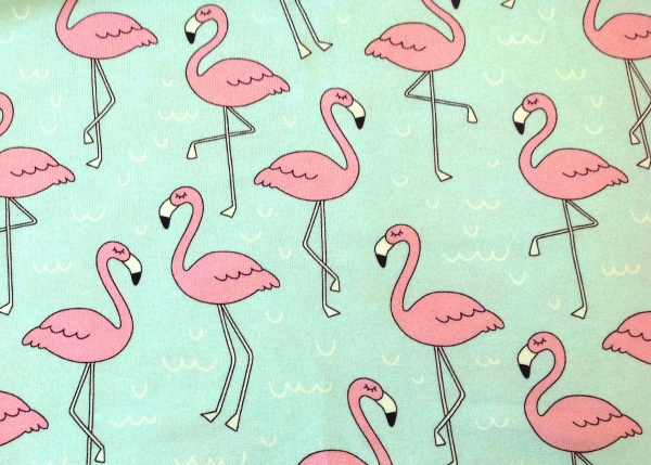 Frl. von Julie Flamingos auf mint