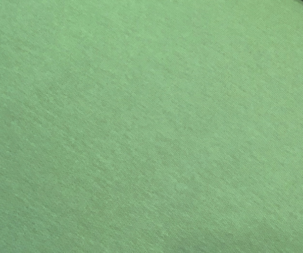 French Terry mint